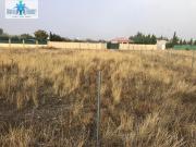 Campo en Albacete