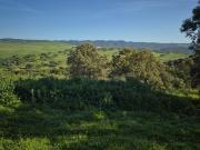 Campo en Almodovar del Rio