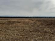 Campo en Anisacate