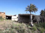 Campo en Binissalem