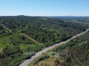 Campo en comuna Florida, orilla camino