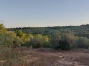 Campo en El Perello