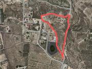 Campo en Elche