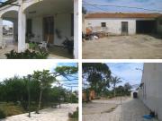 Campo en Elche pedanias