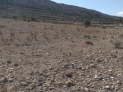 Campo en Jumilla