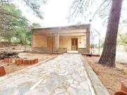 CAMPO EN LA OFRA. ASPE
