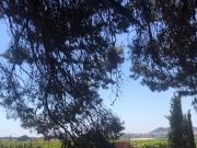 Campo en Lliria