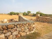 Campo en Manacor