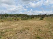 Campo en Marratxí