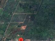 Campo en Mendoza, Finca Los Cardos