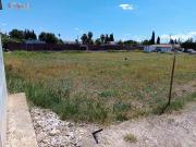 Campo en Molina de Segura