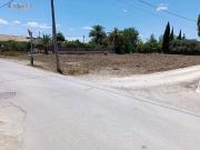 Campo en Molina de Segura