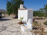 CAMPO EN MONOVAR