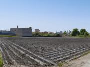 Campo en Motril