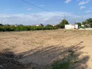 Campo en Murcia