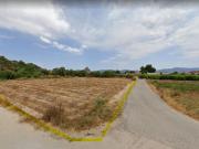 Campo en Murcia