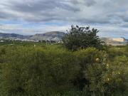 Campo en Pego