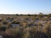 Campo en Puebla de Don Fadrique