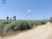 Campo en Sagunto