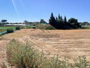 Campo en Sanlucar de Barrameda