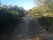 Campo en Santiago del Estero Figueroa