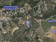 Campo en Turis
