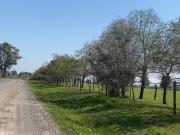 Campo en Venta, 14 Hectáreas, en Zarate, Escalada,...