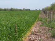 Campo en venta 260.328Mts2 Lobos