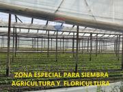 CAMPO EN VENTA 4 HECTARIAS ABASTO LA PLATA CHACRA