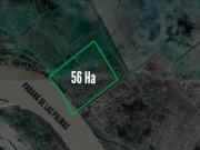 Campo en venta 56 Ha Zarate