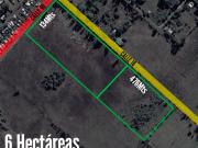 Campo en venta 6 hectáreas Villa Elvira, La Plata