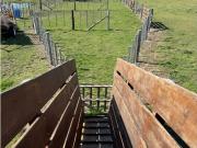 Campo en venta 786 hectáreas. Benito Juárez