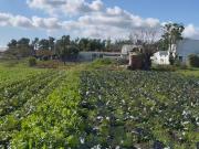 CAMPO EN VENTA ABASTO DE 4 HECTAREAS
