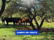 Campo en Venta al sur de San Luis