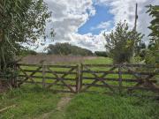 CAMPO EN VENTA ARANA DE 16 HECTÁREAS