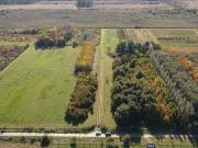 CAMPO EN VENTA ARANA DE 17,42 HECTÁREAS