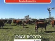 Campo en venta de 122 Has. mixto en Ranchos