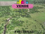 Campo en venta de 8.25ha ubicado en Colón