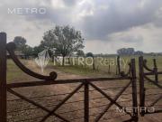 Campo en Venta de 99 hectareas en Zarate