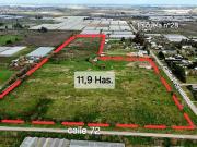 CAMPO EN VENTA EN 185 y 72. 12 HECTAREAS