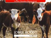 Campo en venta en Brandsen. 126 Has. mixto