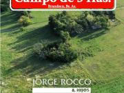 Campo en venta en Brandsen. 3 Has. de excelente suelo y...