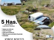 Campo en venta en Brandsen. 5 Has sobre ruta 215