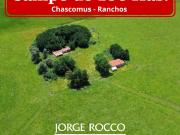 Campo en venta en Chascomus Ranchos. 150 Has. ganaderas