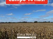 Campo en venta en Gral. Belgrano. 14 Has. agrícolas...