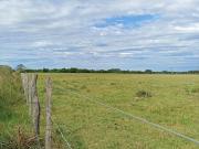 Campo en venta en Helvecia Santa Fe