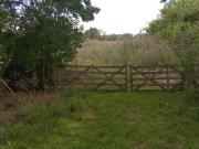 Campo en venta en Ignacio Correas