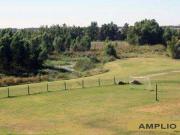 LOCAL EN ALQUILER en Inmomap