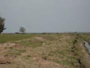 Campo EN VENTA en Inmomap