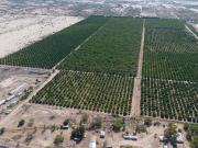 Campo en venta en la Costa de Hermosillo, Sonora